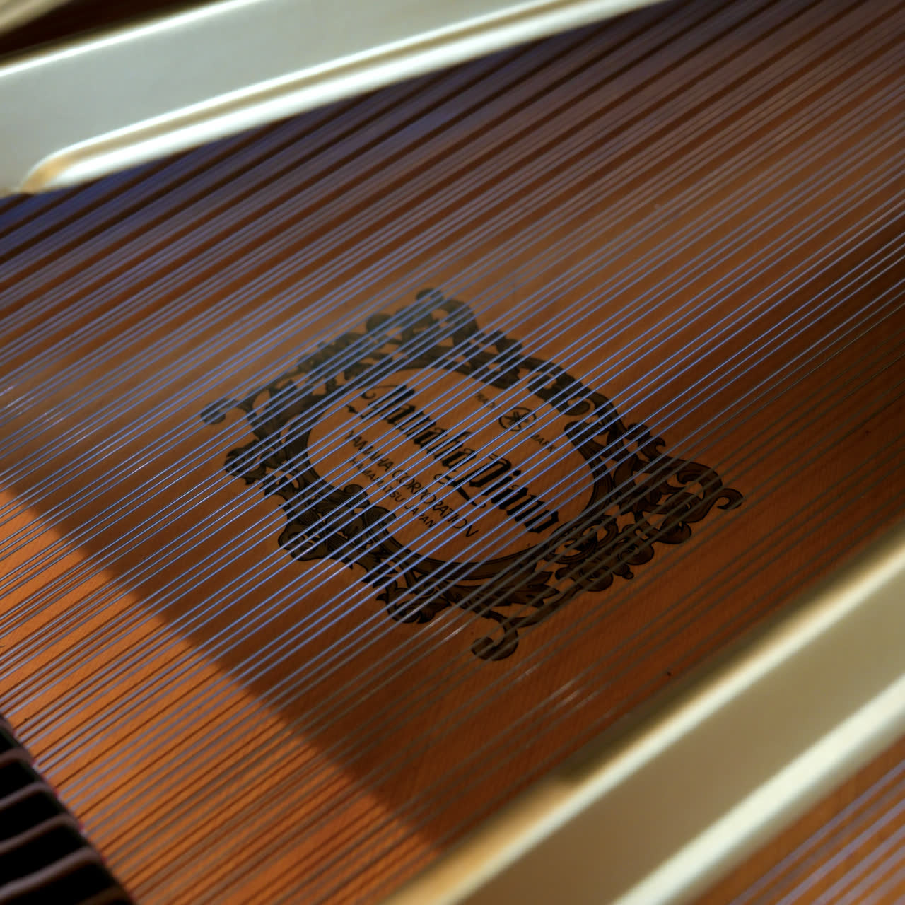 Inside the piano: strings running across the soundboard over the maker’s cast medallion and gold frame.